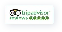 TripAdvisor