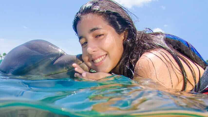Dolphin Funtastic