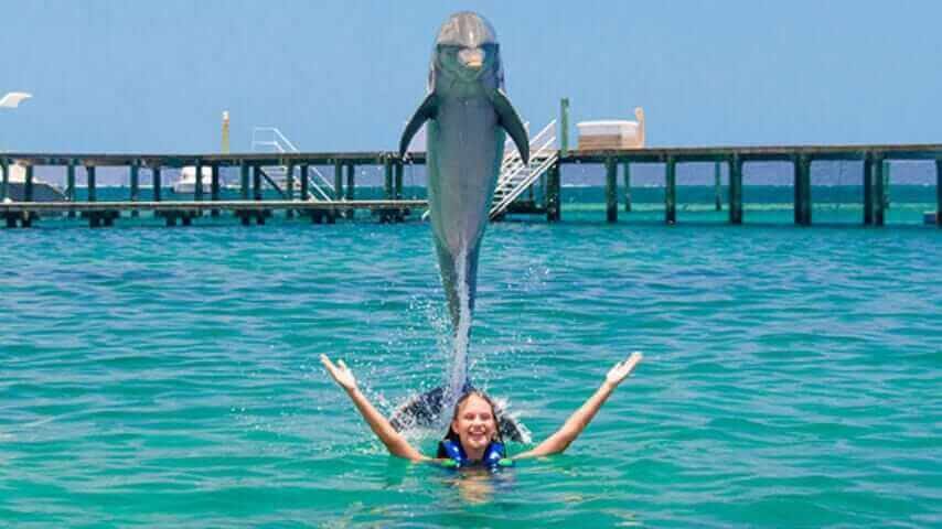 Dolphin kiss