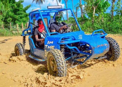 Unforgettable Tours & Transfers | Dominican Dream Vacation - Discover the Dominican Republic 2025