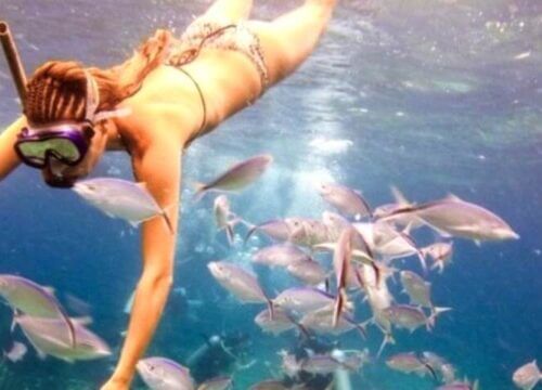 Catalina Island and Snorkeling | Unforgettable Tours & Transfers | Dominican Dream Vacation - Discover the Dominican Republic 2025