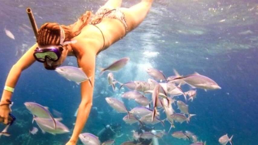 Catalina Island and Snorkeling