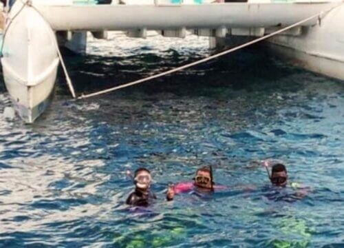 Unforgettable Tours & Transfers | Dominican Dream Vacation - Discover the Dominican Republic 2025