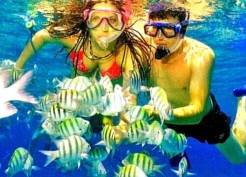 Unforgettable Tours & Transfers | Dominican Dream Vacation - Discover the Dominican Republic 2025