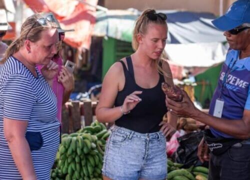 Unforgettable Tours & Transfers | Dominican Dream Vacation - Discover the Dominican Republic 2025