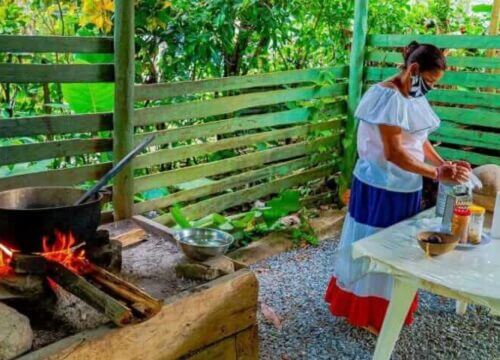 Unforgettable Tours & Transfers | Dominican Dream Vacation - Discover the Dominican Republic 2025