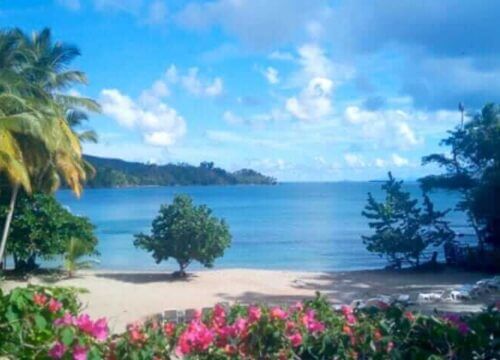 Unforgettable Tours & Transfers | Dominican Dream Vacation - Discover the Dominican Republic 2025