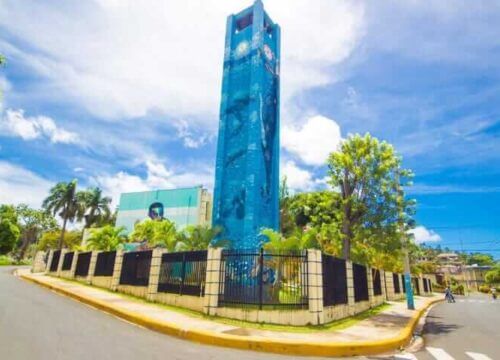 Unforgettable Tours & Transfers | Dominican Dream Vacation - Discover the Dominican Republic 2025