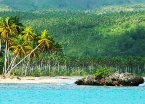 Unforgettable Tours & Transfers | Dominican Dream Vacation - Discover the Dominican Republic 2025