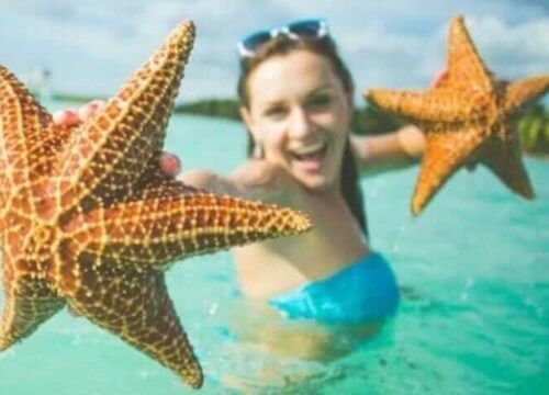 Unforgettable Tours & Transfers | Dominican Dream Vacation - Discover the Dominican Republic 2025
