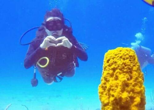 Unforgettable Tours & Transfers | Dominican Dream Vacation - Discover the Dominican Republic 2025