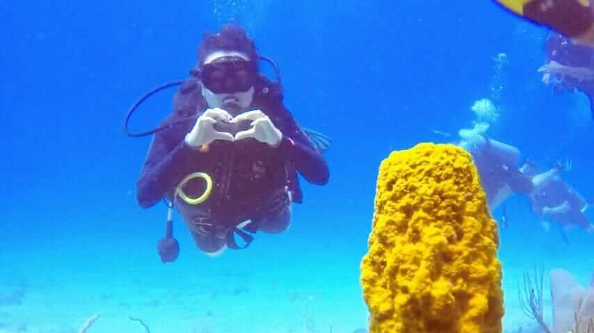 Scuba Diving at Catalina Island