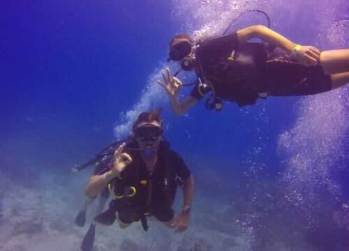 Unforgettable Tours & Transfers | Dominican Dream Vacation - Discover the Dominican Republic 2025