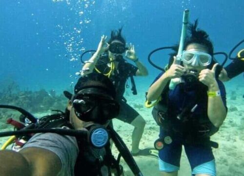 Unforgettable Tours & Transfers | Dominican Dream Vacation - Discover the Dominican Republic 2025