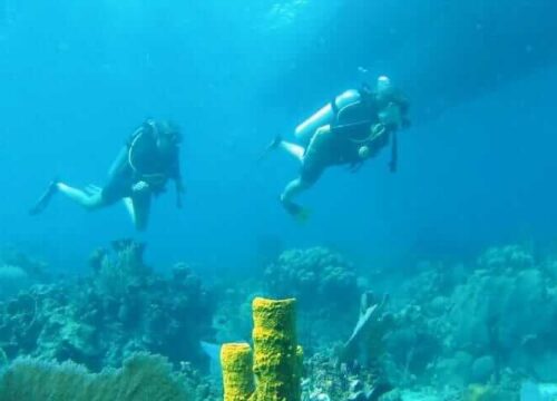 Unforgettable Tours & Transfers | Dominican Dream Vacation - Discover the Dominican Republic 2025