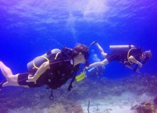 Unforgettable Tours & Transfers | Dominican Dream Vacation - Discover the Dominican Republic 2025