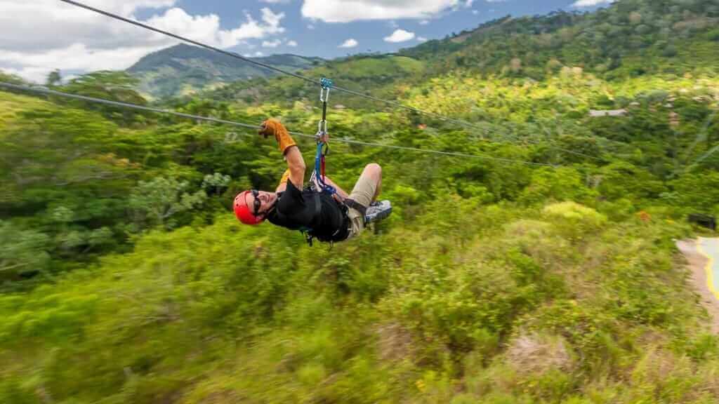 Zip Line and Monkeyland Adventure